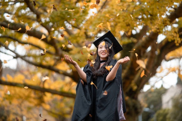 Government-Funded vs University Scholarships in New Zealand